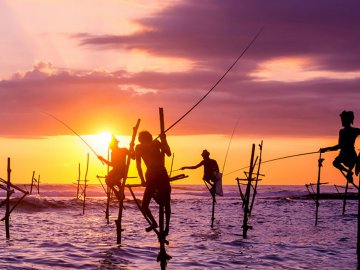 Still Fishing 