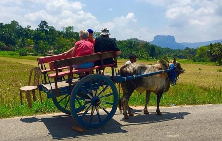 Village Safari