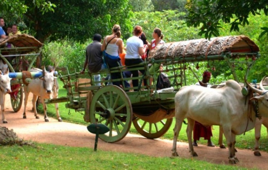 Village Safari
