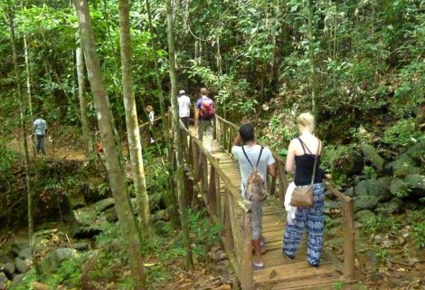 Kanneliya Rain Forest