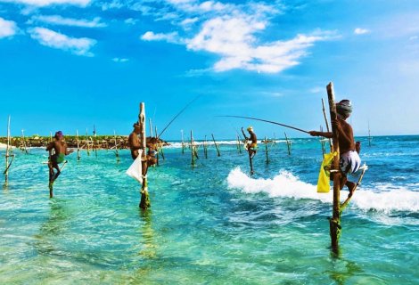 Stick Fishing