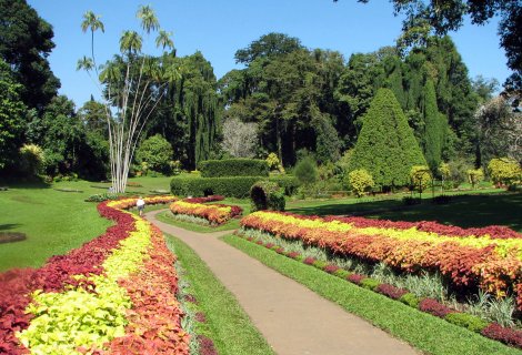 Botanic Gardens 
