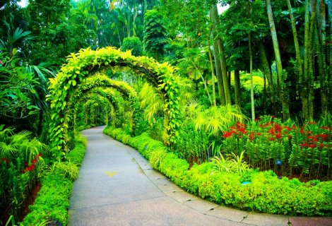 Botanic Gardens