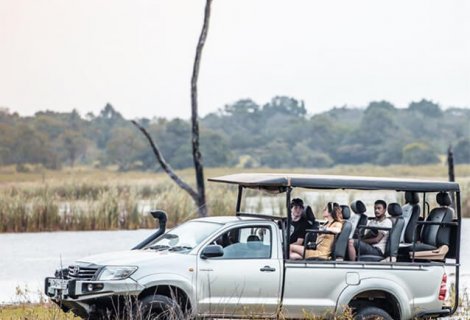 Yala Safari
