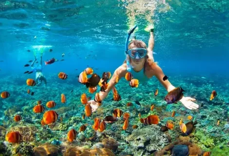  Snorkelling
