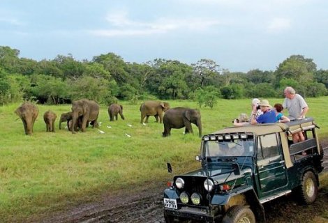 Minneriya National Park